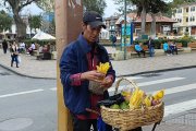 Un vendedor informal fue agredido en Loja.