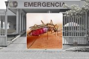 El Ecuador es el país con menos casos de malaria en la región.