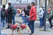 Ciudadanos van con sus mascotas a protestar.