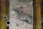 Dos sospechosos de asesinato fueron abatidos en el cantón Balao.