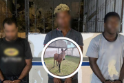 Los sospechosos de robar tres burros.
