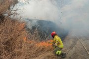 Más de 1.000 hectáreas se han consumido a causa del incendio.
