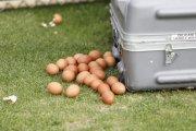Se encontró varios huevos en el terreno de juego.