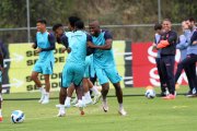 La selección de Ecuador enfrentará a Paraguay y Uruguay en la fecha 9 y 10 de la eliminatorias.