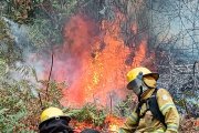 Bomberos combaten el fuego en Loja.