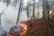 Voluntarios ayudan a combatir los incendios forestales en Loja.