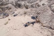 Los restos fueron hallados en un sitio que arrojan basura en la comuna Pechiche de la parroquia Chanduy.