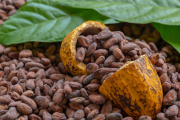 En Ecuador se realizan ferias donde se promueve la venta del cacao a nivel internacional.