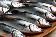 Este pescado, accesible y fácil de incorporar a la dieta, es un alimento completo que no solo mejora la salud cardiovascular, sino también combate problemas digestivos