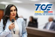 El fallo del TCE se produce en medio de la disputa política entre Abad y el presidente Noboa.