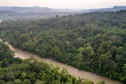 Los bosques amazónicos y los residuos urbanos, entre los focos de atención ambiental en Ecuador.