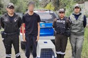El joven extranjero que fue detenido tiene 18 años.