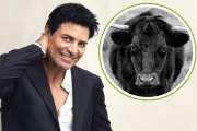 Chayanne cuestionado por su tema 'Torero'