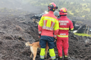 Miembros del Cuerpo de Bomberos realizan labores de búsqueda.