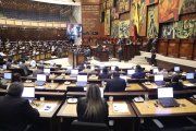 La consulta popular de diciembre podría modificar la estructura del Legislativo.