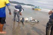 El cuerpo de un hombre fue hallado la tarde de este viernes en la playa de Atacames, en el sur de Esmeraldas.