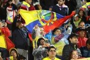 Aficionados de Ecuador animan a su equipo ante Paraguay.