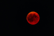 La luna de sangre se verá este 7 de septiembre de 2025.