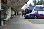 Conductores y cooperativas muestran preocupación, mientras usuarios evitan viajar por temor a las protestas.