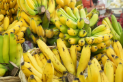 El banano es uno de los productos sin arancel desde Ecuador hacia EE. UU.