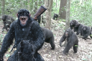 Una “guerra civil” entre chimpancés en Uganda revela niveles de violencia y organización que sorprenden a la ciencia.