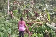 “Habitante de la ribera del río Cayapas observa los cultivos de plátano y yuca derribados por las lluvias y vientos huracanados que destruyeron viviendas y plantaciones en Eloy Alfaro.