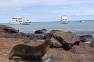 Dos localidades de la provincia de Galápagos celebran sus aniversarios de cantonización