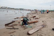 Trabajadores turísticos retiran manualmente los troncos que invaden la playa en Playas.