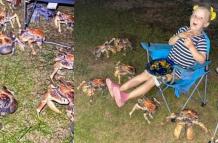 cangrejos-gigantes-ataque-comida-fotos