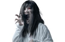 shutterstock_1496646347