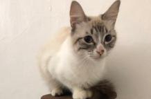 f34081e8-2a5f-4c31-8733-88f585231db5