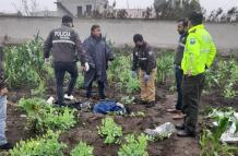 asesinato