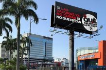 WhatsApp Image 2022-10-11 at 12.31.14 PM