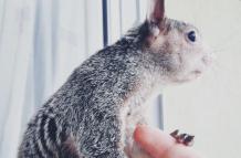 WhatsApp Image 2022-11-11 at 16.50.42