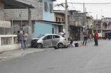 pillos capturados (9685296)