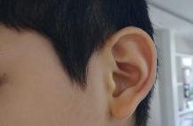 OREJA PARA WEB