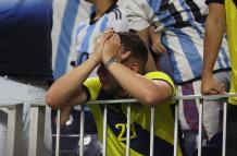 CONMEBOL Copa America (13118079)