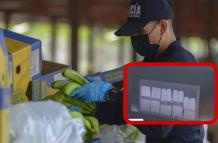 A través de un escáner fue detectada la mercadería ilegal.