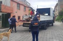 Camal - Clandestino - Clausura