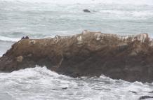 thumbnail_Los dos turistas en  la punta del islote que estaba rodeado de agua