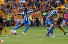 Moises-Caicedo-brighton1