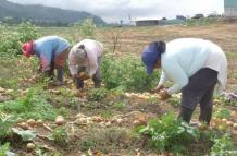 Agro_Uruguay