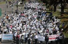 MARCHA INSEGURIDAD (8340692)