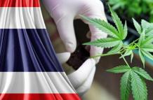 Tailandia prohíbe el consumo de cannabis en universidades tras legalizarlo