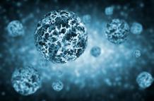 La edición genética permite a las células afinar su ataque contra el cáncer
