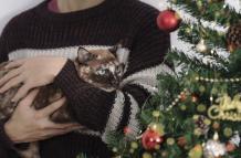 man-hug-cat-with-christmas-tree-background-happy-new-year-and-merry-christmas