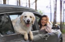 close-up-woman-with-dog-in-car