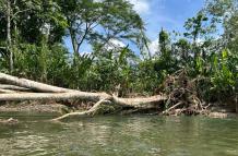 Río en selva, Panamá