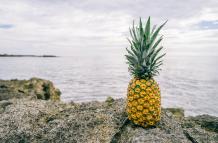 pexels-pineapple-supply-co-29555