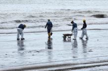 Trabajadores realizan tareas de limpieza en la playa Las Palmas.